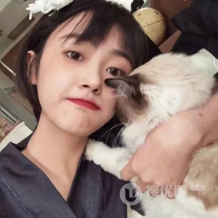 与宠物合影的女生，开心出行的女生头像合集