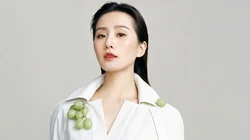 内地明星刘诗诗盆栽前气质高贵写真高清壁纸图片