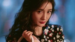 杨幂大卷发造型身着白花黑底花裙子室内写真壁纸