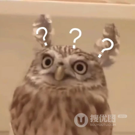 被玩坏的宠物，搞笑沙雕萌宠头像图片