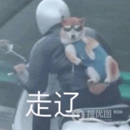 动物的搞笑头像，一看到就会笑死的动物头像图片