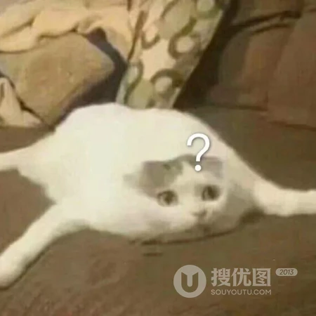 动物的搞笑头像，一看到就会笑死的动物头像图片