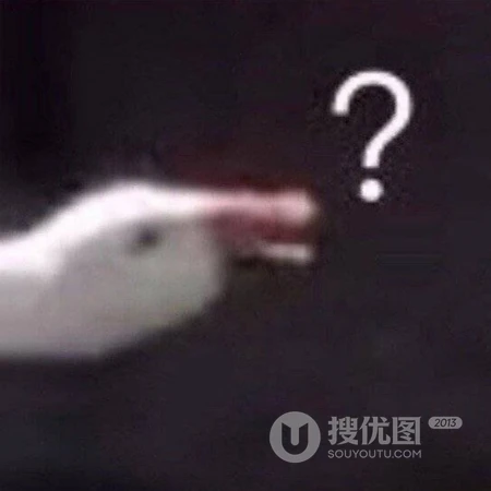 动物的搞笑头像，一看到就会笑死的动物头像图片