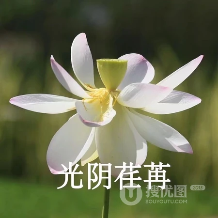个性带文字的图片头像，搞怪的文字头像图片