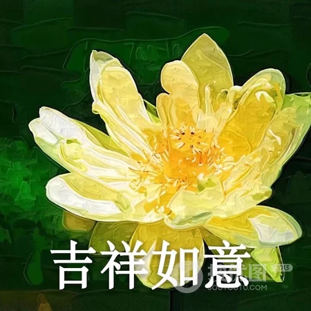 个性带文字的图片头像，搞怪的文字头像图片