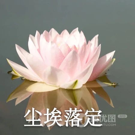 个性带文字的图片头像，搞怪的文字头像图片