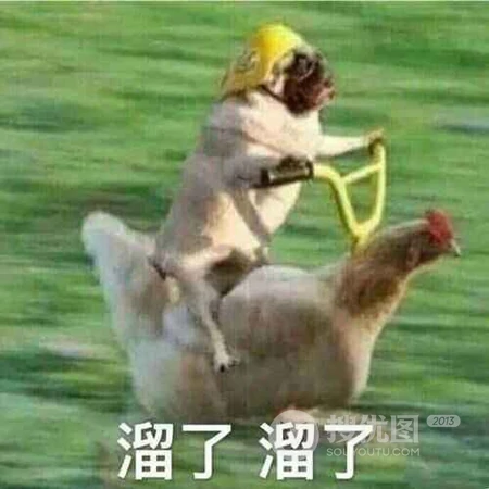 个性带文字的图片头像，搞怪的文字头像图片