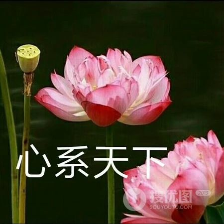 个性带文字的图片头像，搞怪的文字头像图片