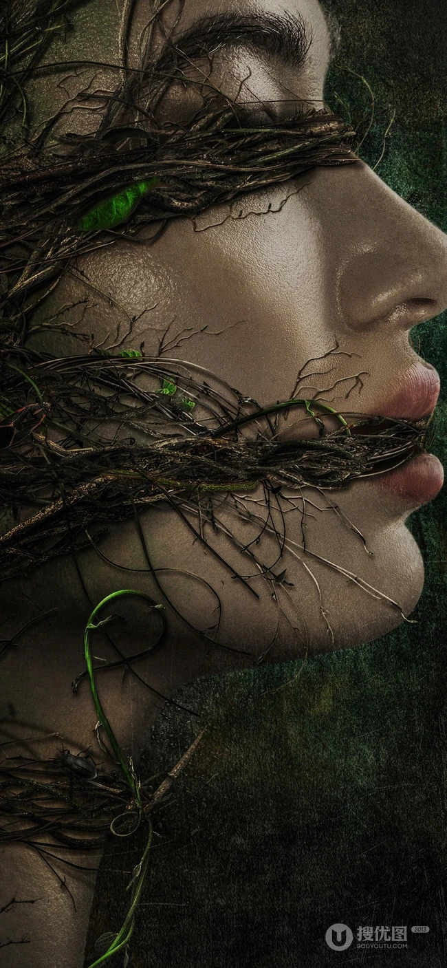 藤蔓缠绕下欧美美女的脸创意欧美手机壁纸