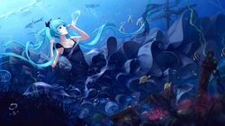 初音未来电脑壁纸合集，这一套我用了半年