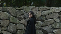明星&ldquo;杨幂&rdquo;石头墙前的唯美写真桌面壁纸