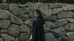 明星&ldquo;杨幂&rdquo;石头墙前的唯美写真桌面壁纸
