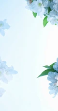 六月的丁香到处开放， 呼和浩特市市花丁香花唯美图片