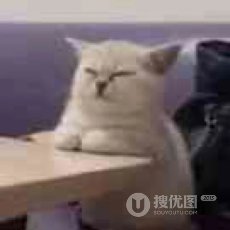 就这样看着你，沙雕动物搞笑表情QQ头像图片