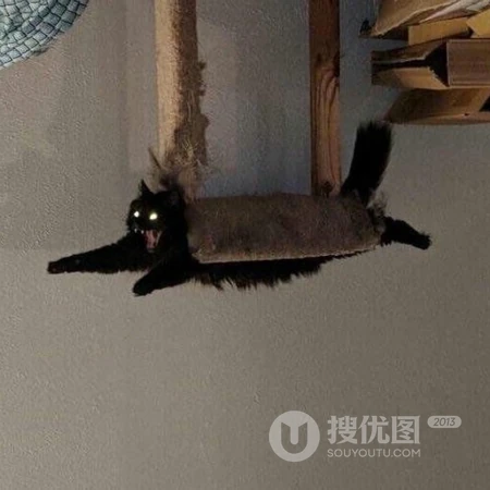 沙雕QQ头像，搞笑的QQ搞笑表情包头像