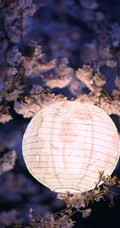 唯美中国风特色的场景插画美图，美轮美奂的古风特色场景