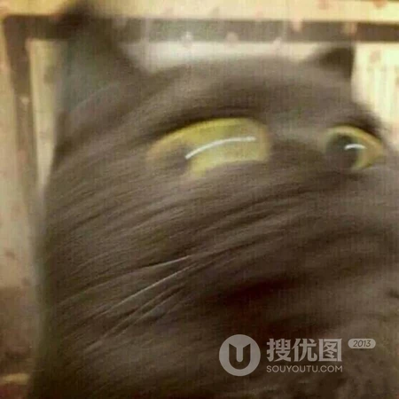热门抖音的个性头像，好玩好笑的微信头像套图