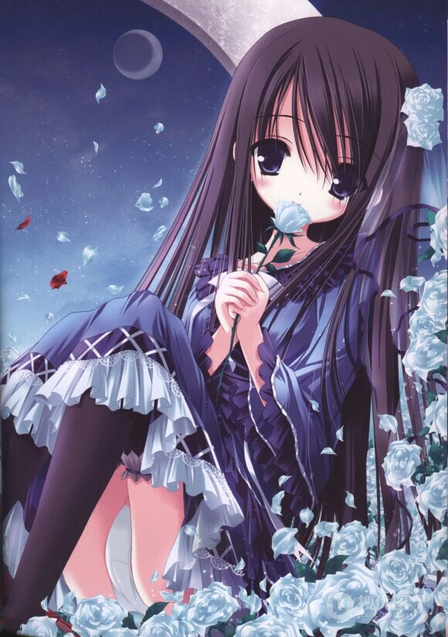 玫瑰花动漫女孩，手拿玫瑰的唯美二次元少女插画美图