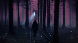唯美的森林场景，坠入水中人物等唯美壁纸