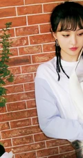 郑爽银色短裙典雅气质写真图片