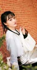 郑爽银色短裙典雅气质写真图片