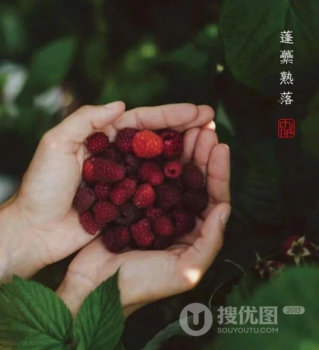 唯美立夏图片，农历四月初夏台湾乡间各处风土意境美图
