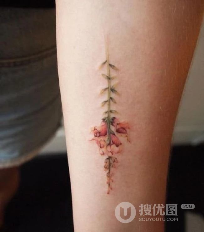 唯美小清新花朵，绿叶，花瓣系列女生纹身小图案图片欣赏 第10张