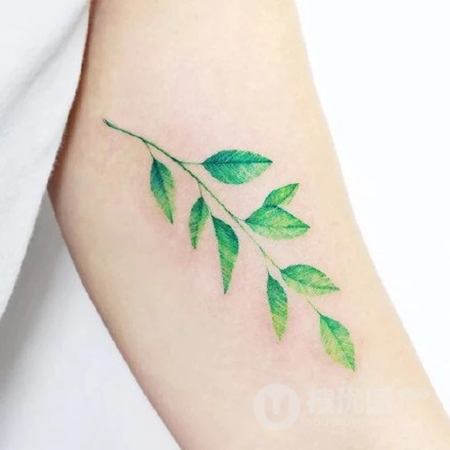 唯美小清新花朵，绿叶，花瓣系列女生纹身小图案图片欣赏 第2张