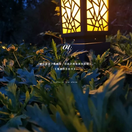 绿色清新的花花草草唯美清新带文字图片