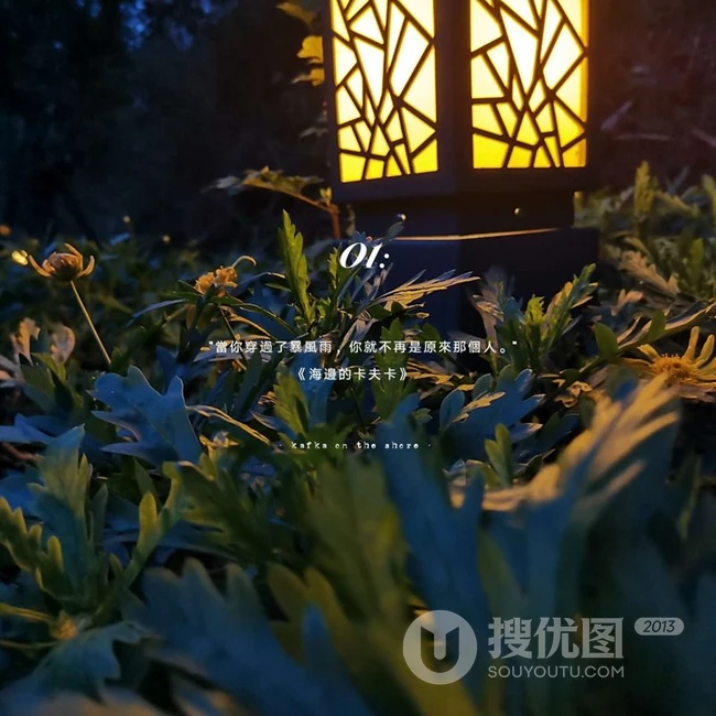 绿色清新的花花草草唯美清新带文字图片