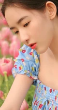 王玉雯清新小碎花裙户外郁金香花园唯美动人写真图片