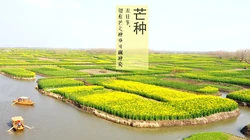清新唯美的二十四节气之芒种景色高清带文字壁纸图片