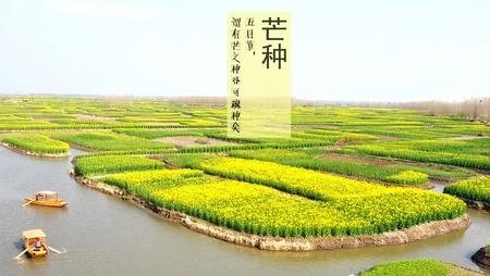 清新唯美的二十四节气之芒种景色高清带文字壁纸图片