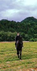 吴磊休闲运动装扮骑马图片