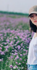 刘雯用x50pro手机拍摄漫步紫色花海图片