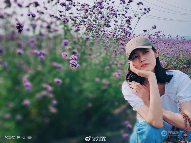 刘雯用x50pro手机拍摄漫步紫色花海图片