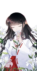 日本漫画《犬夜叉》动漫人物桔梗超清唯美图片集