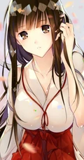日本漫画《犬夜叉》动漫人物桔梗超清唯美图片集