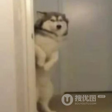 网络流行的表情图片等搞笑搞怪沙雕情侣头像图片
