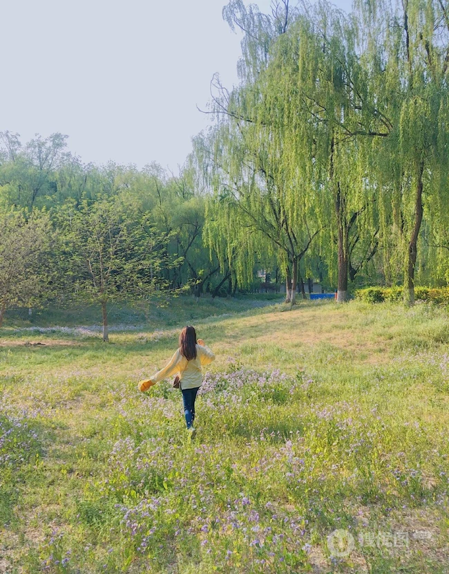 李兰迪小树林清新唯美照片