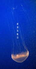 6月5日环境日，动物主题的世界环境日手机壁纸图片