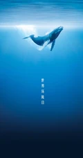 6月5日环境日，动物主题的世界环境日手机壁纸图片