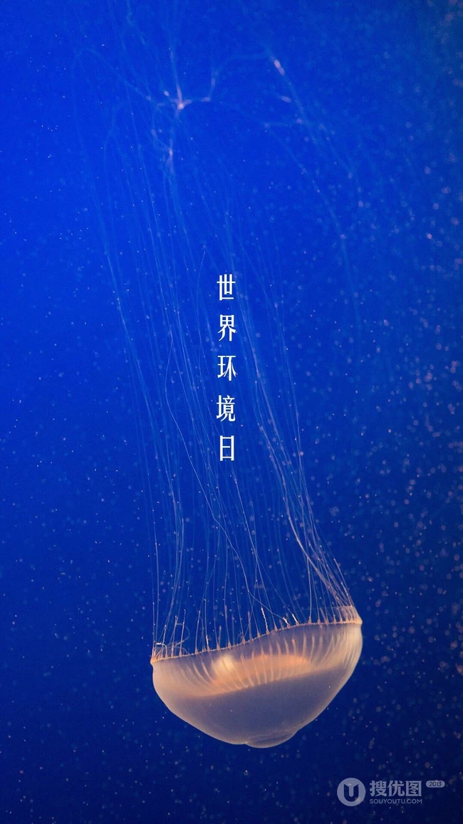6月5日环境日，动物主题的世界环境日手机壁纸图片