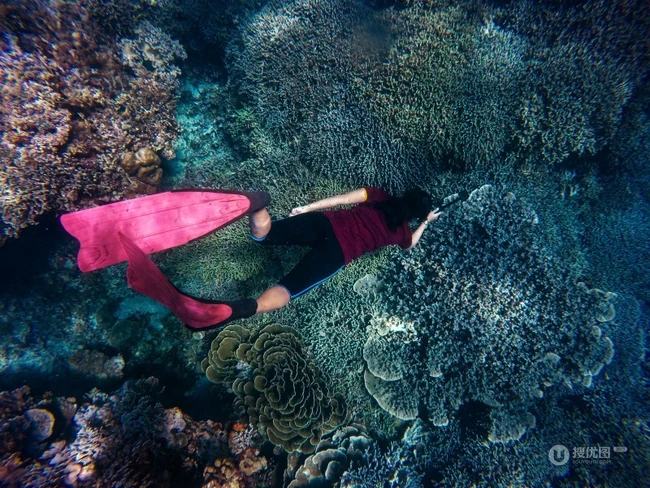潜水运动，深海中潜水的各种潜水员唯美好看图片