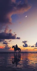 骑马漫步沙滩的少女，夕阳沙滩飞过的海鸥等唯美桌面壁纸