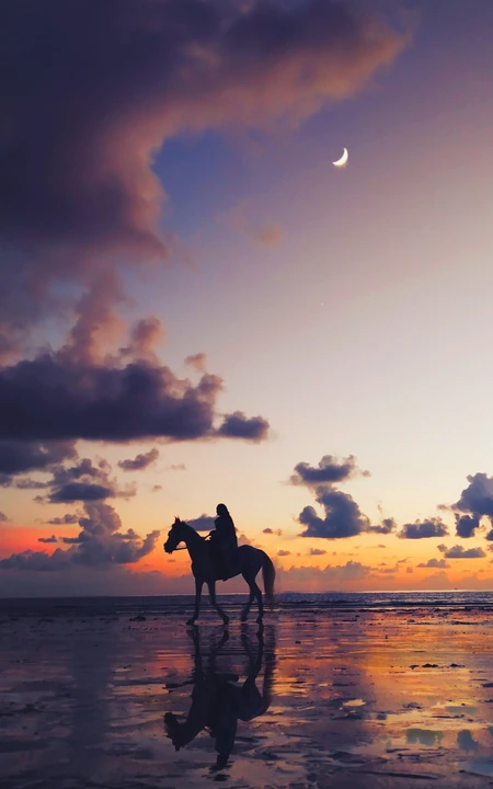 骑马漫步沙滩的少女，夕阳沙滩飞过的海鸥等唯美桌面壁纸