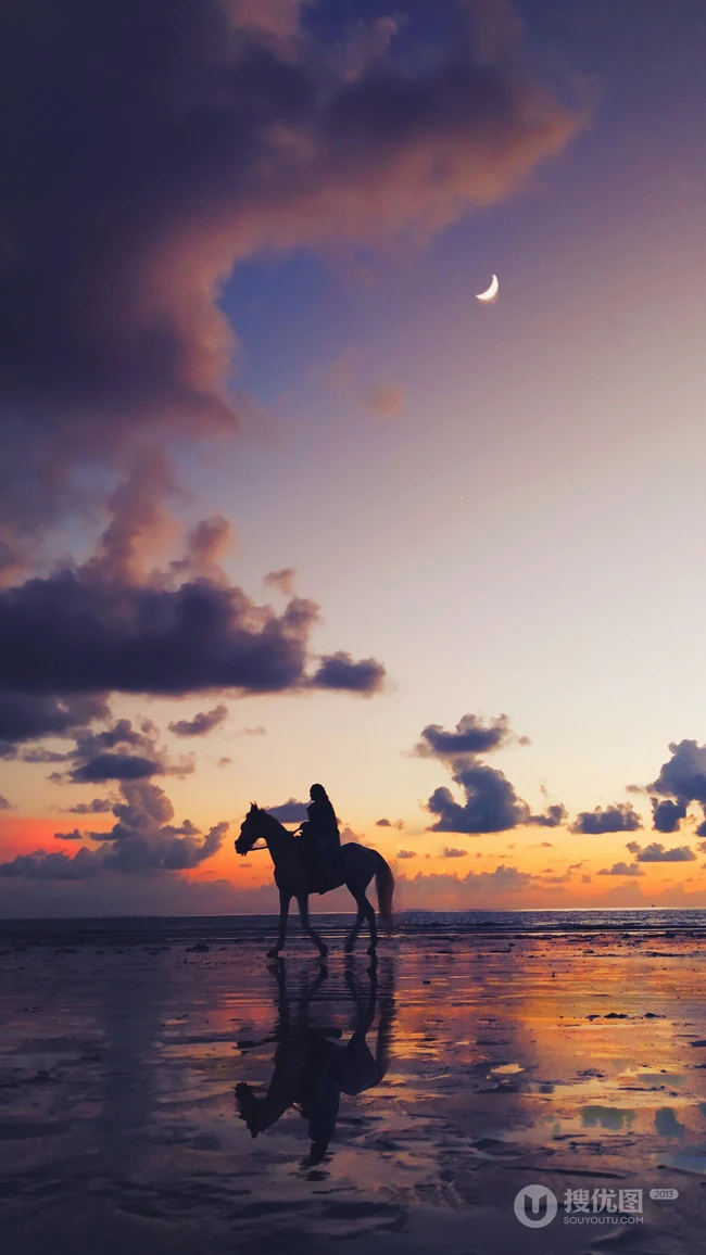 骑马漫步沙滩的少女，夕阳沙滩飞过的海鸥等唯美桌面壁纸