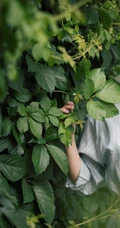 霍思燕竖纹衬衣搭蓝裙绿色植被前唯美动人写真图片