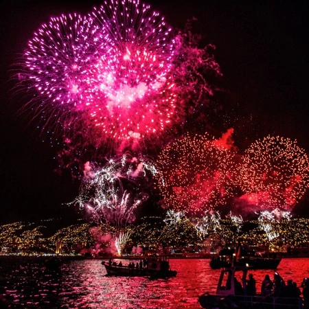 绽放在夜空中唯美浪漫又美丽的烟花图片