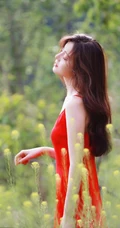 高颜值长发温柔女生李希萌唯美户外草丛意境摄影写真
